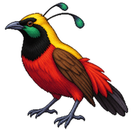 King Bird-of-Paradise