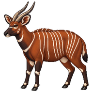 Bongo