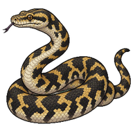 Carpet Python