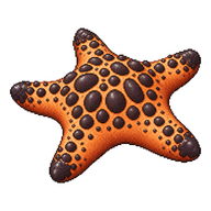 Cushion Star