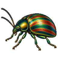 Dead-nettle Leaf Beetle