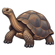 Aldabra Giant Tortoise