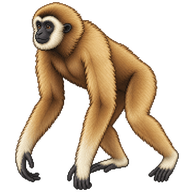 Agile Gibbon