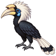 White-crowned Hornbill