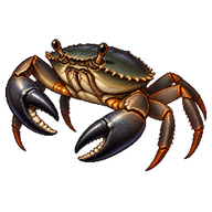 Black Finger Crab