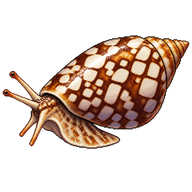 Magical Cone