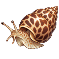 Spiral Babylon Snail