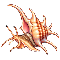 Giant Spider Conch