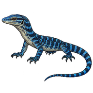 Blue Tree Monitor Hatchling