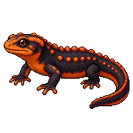 Himalayan Crocodile Newt