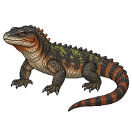 Chinese Crocodile Lizard