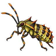 Spined Soldier Bug Nymph