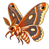 Regal Moth