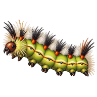 Azalea Caterpillar Caterpillar
