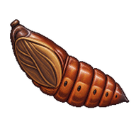 Azalea Caterpillar Pupa