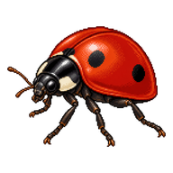 Two-spot Ladybird