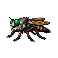 Robber Fly