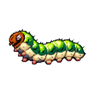 Bluegrass Webworm Moth Caterpillar