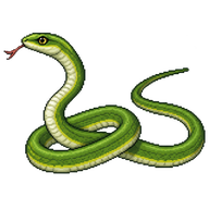 Rough Green Snake