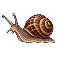 Copse Snail