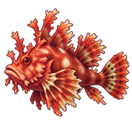 Weedy Scorpionfish