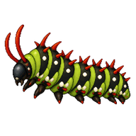 Southern Cattle Heart Caterpillar