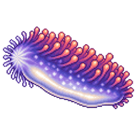 Magnificent Sea Anemone Planula Larva
