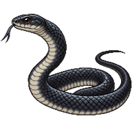 North American Racer