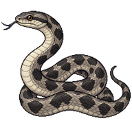 Gray Ratsnake