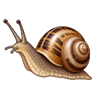 Asian Trampsnail