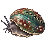 Ormer